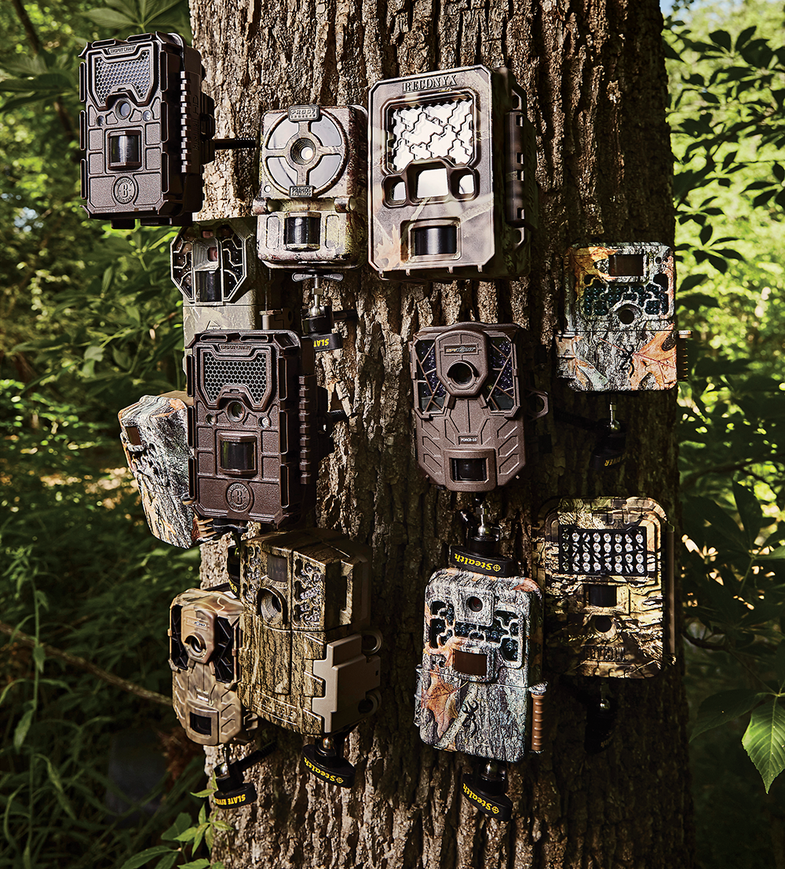 Trail Cameras