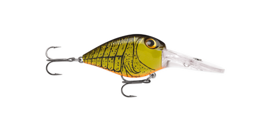 Storm Deep Rattlin Flat Wart