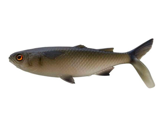 13 Fishing The Mullet Swimbait