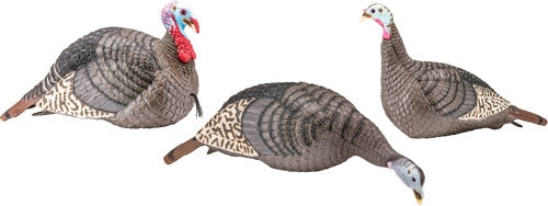 Hs Strut Turkey Decoy Flock - Strut-lite Hen-jake-feeder Hen