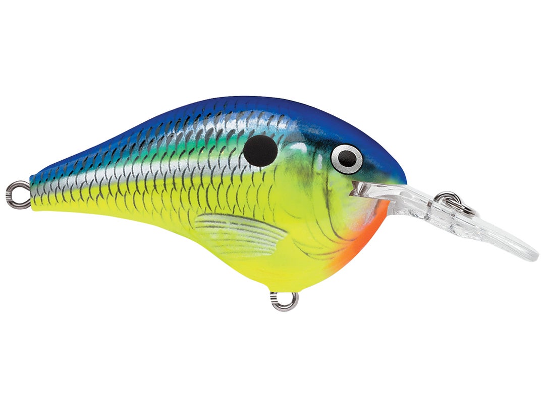 Rapala DT Series Crankbait