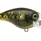 Rapala Balsa Xtreme BX Brat Squarebill Crankbaits