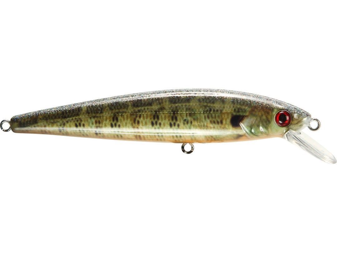 Strike King KVD Jerkbait