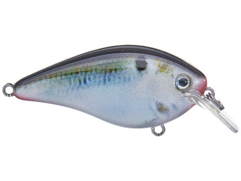 Strike King KVD 1.0 Square Bill Silent Crankbait