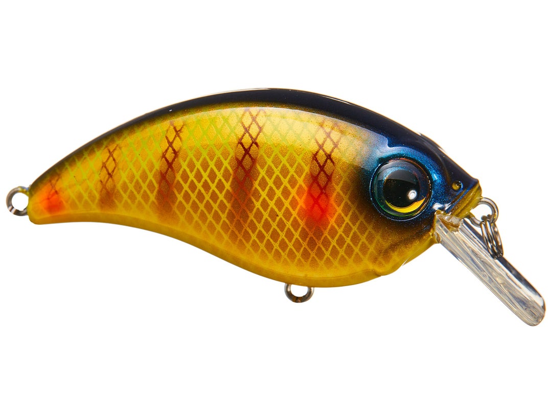 Bill Lewis ATV Squarebill 1.0 Crankbait