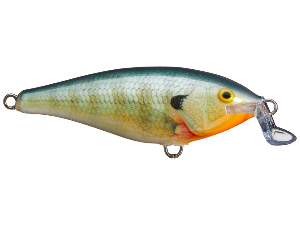 Rapala Shallow Runner Shad Rap Crankbaits