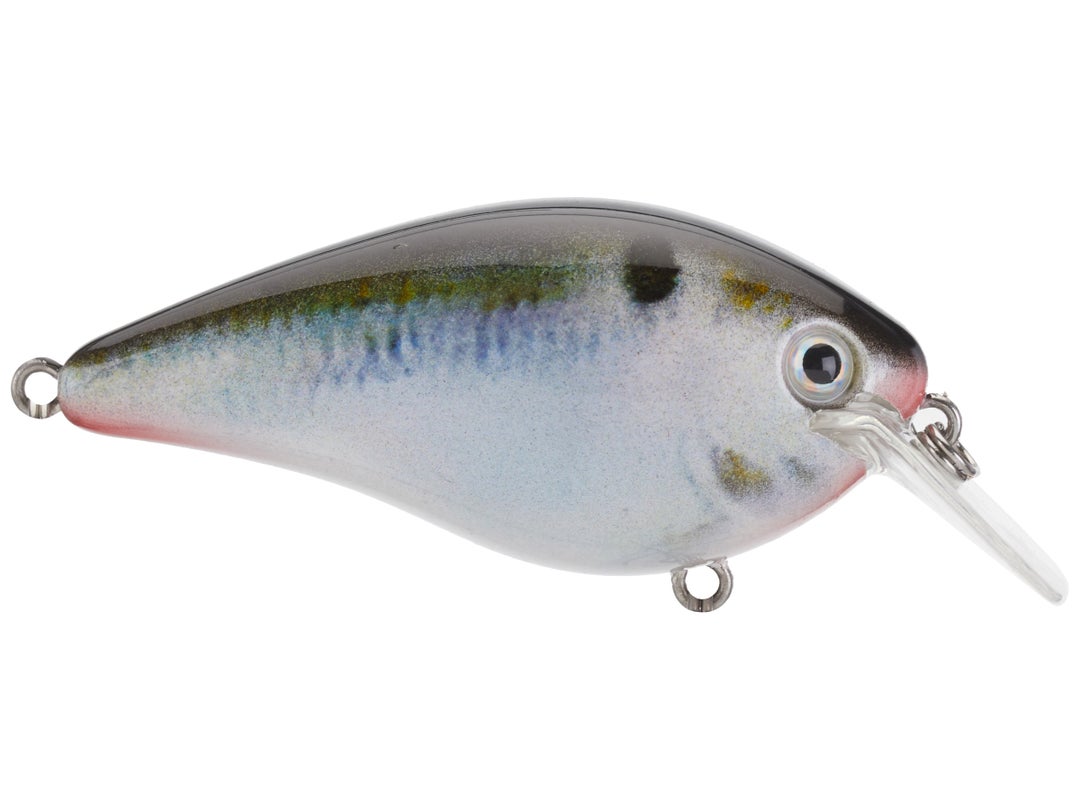 Strike King KVD 1.5 Square Bill Silent Crankbait