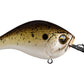 13 Fishing Jabber Jaw Hybrid Squarebill Crankbait Deep