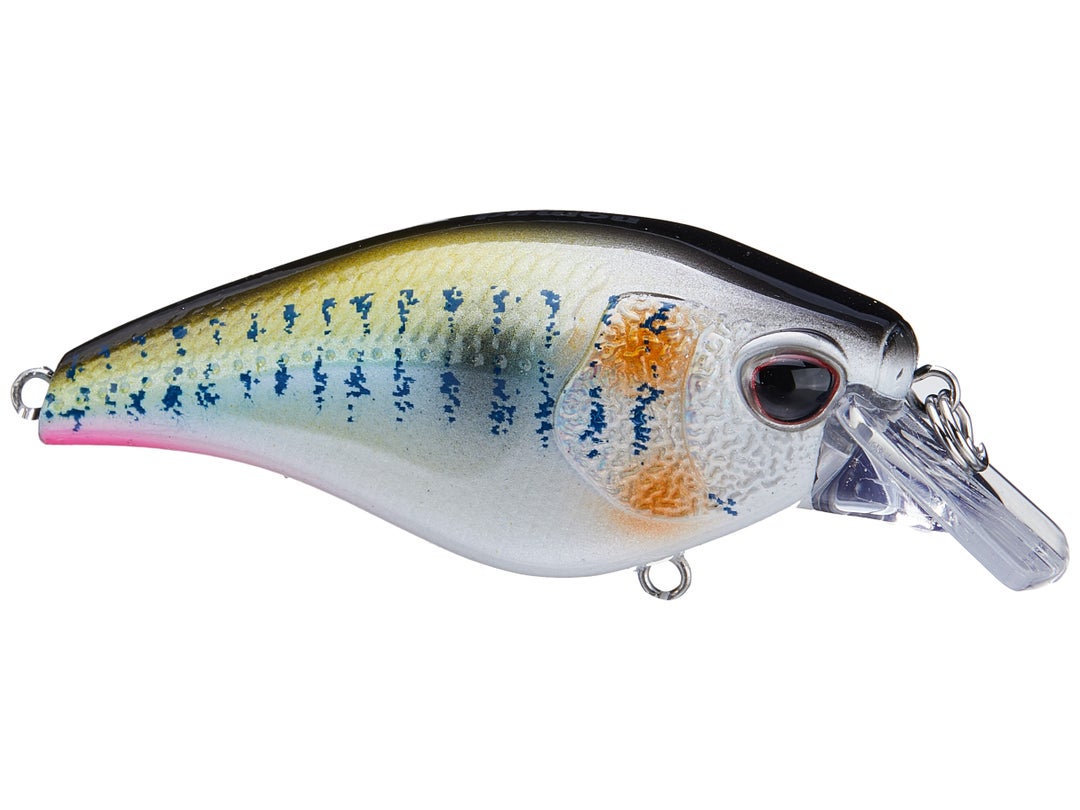 Nomad Design Atlas Squarebill Crankbait