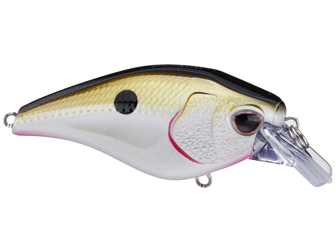 Nomad Design Atlas Squarebill Crankbait