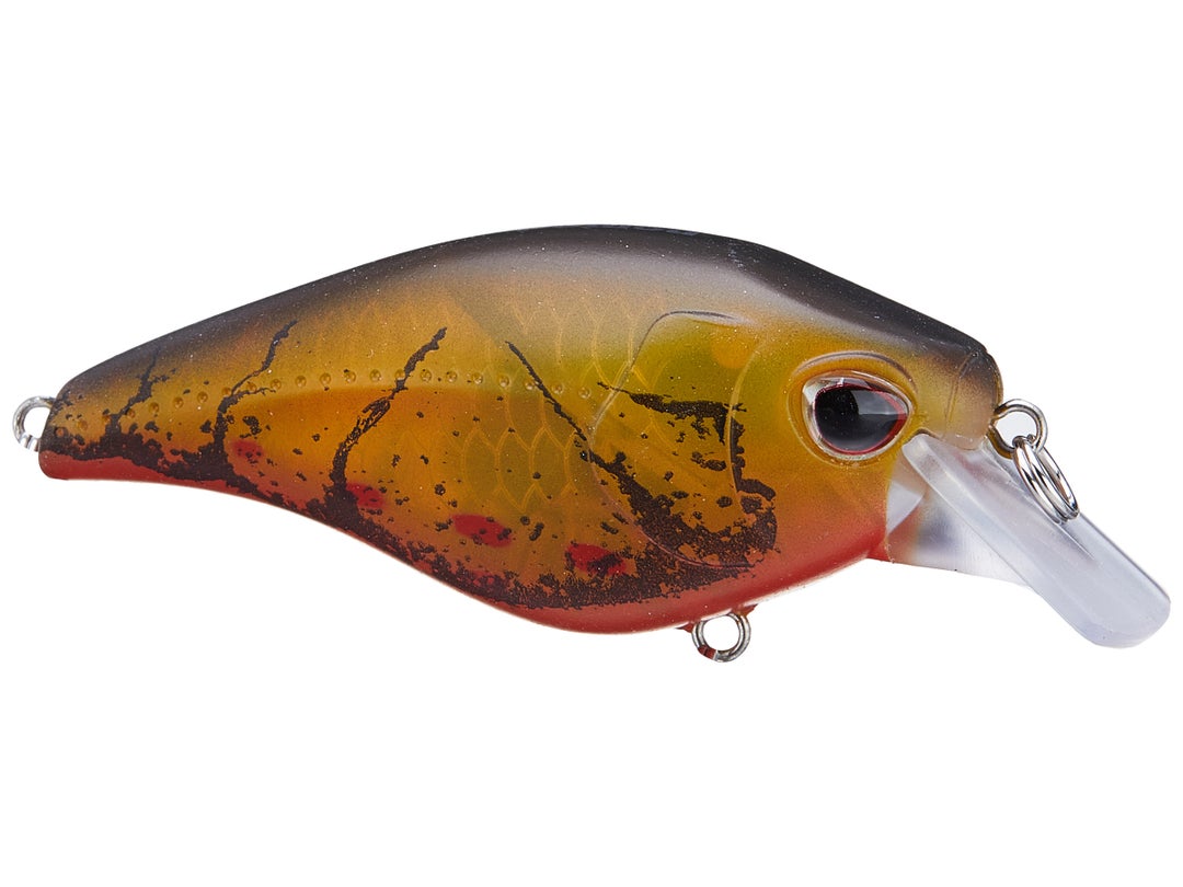 Nomad Design Atlas Squarebill Crankbait