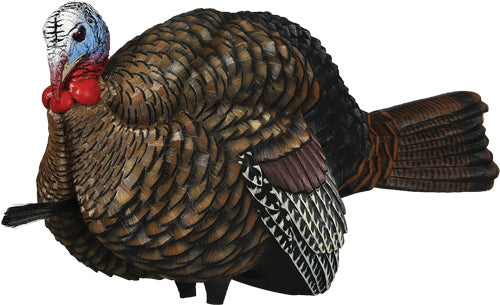 Avian X Lcd 1-2 Strut Jake - Decoy