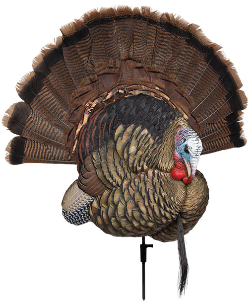 Avian X Trophy Tom Decoy -