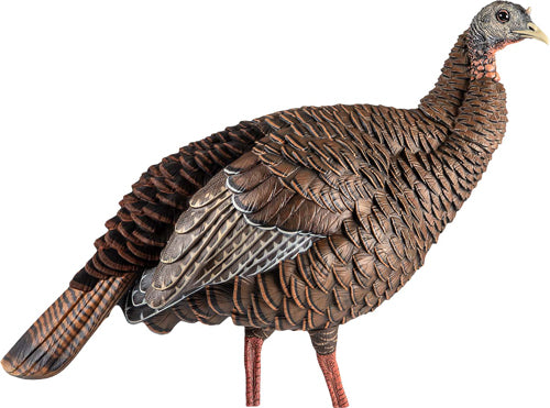 Avian X Hdr Hen Decoy -