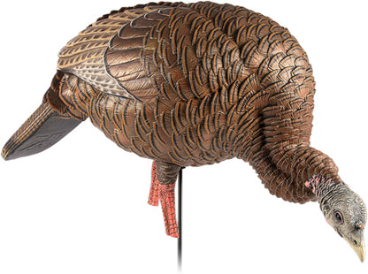 Avian X Hdr Feeding Hen Decoy -