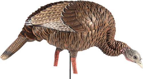 Avian X Hdr Feeding Hen Decoy -