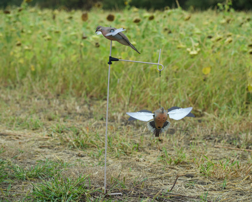 Avian X Spinning Wing Dove - Decoy