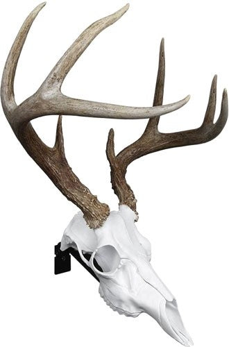 Mountain Mike's Deer Skull - Positioner