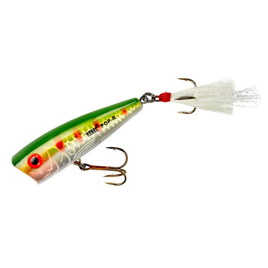 Rebel Pop-R Topwater Popper