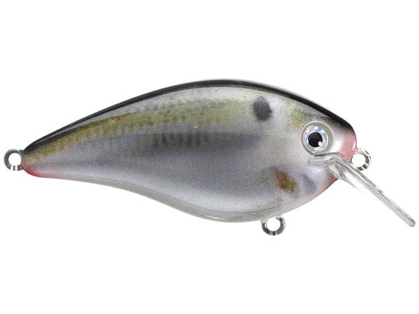 Strike King KVD 2.5 Square Bill Silent Crankbait