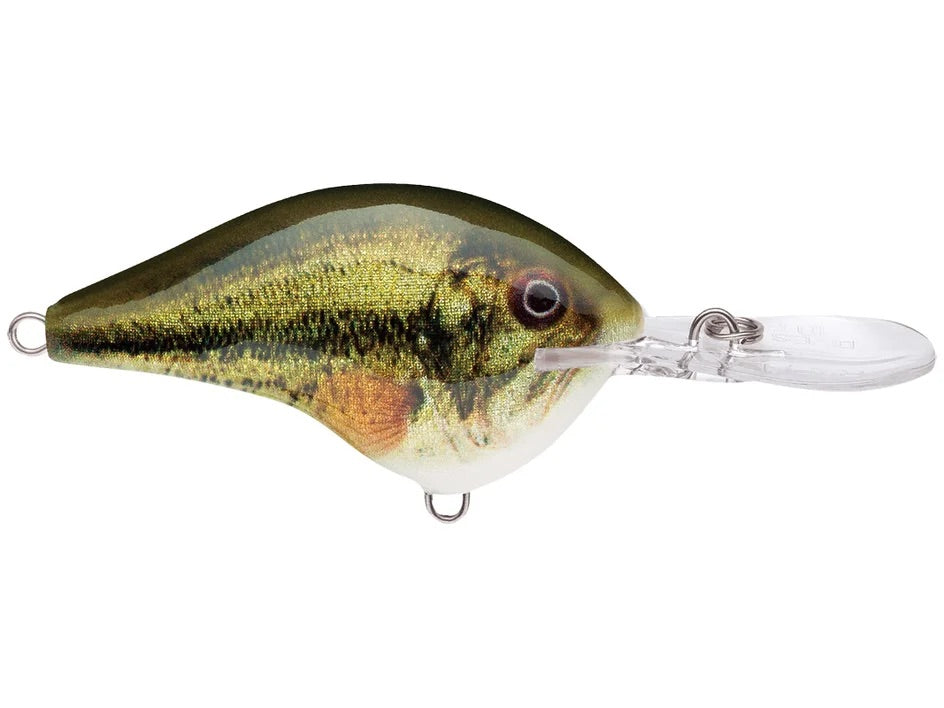 Rapala DT Series Crankbait