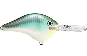 Rapala DT Series Crankbait