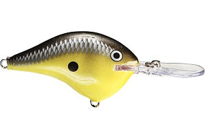 Rapala DT Series Crankbait