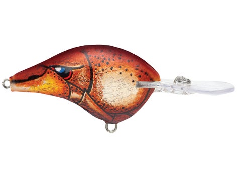 Rapala DT Series Crankbait