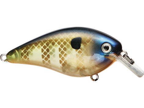 Strike King KVD 2.5 Square Bill Silent Crankbait