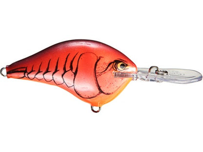 Rapala DT Series Crankbait