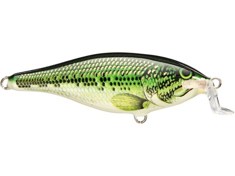 Rapala Shallow Runner Shad Rap Crankbaits