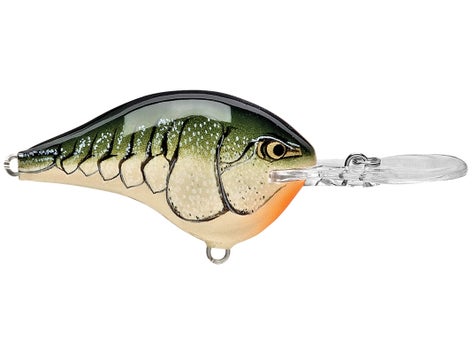 Rapala DT Series Crankbait