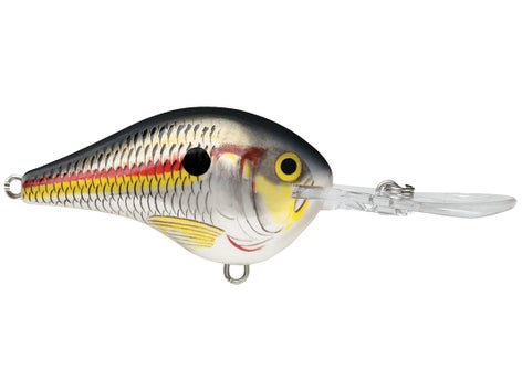 Rapala DT Series Crankbait