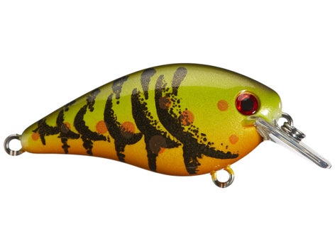 Strike King KVD 1.0 Square Bill Silent Crankbait