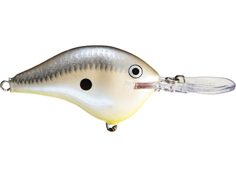 Rapala DT Series Crankbait