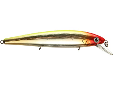 Strike King KVD Jerkbait