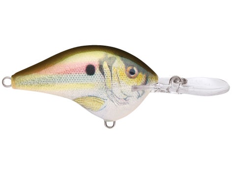 Rapala DT Series Crankbait