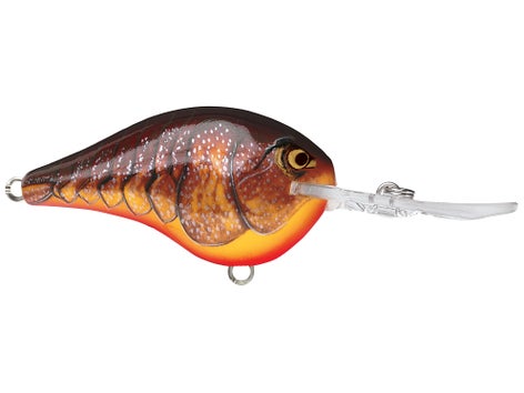 Rapala DT Series Crankbait