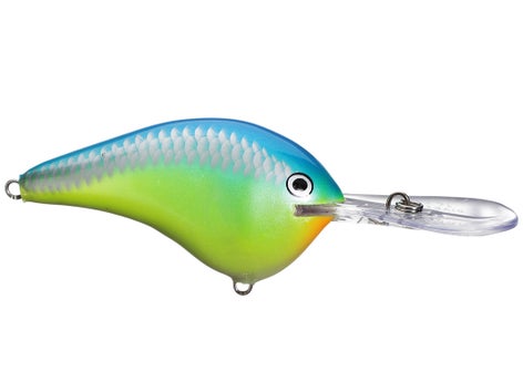 Rapala DT Series Crankbait