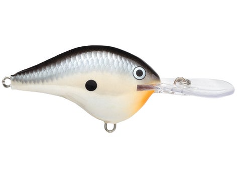 Rapala DT Series Crankbait