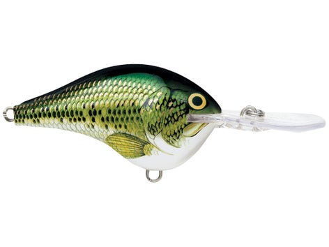 Rapala DT Series Crankbait