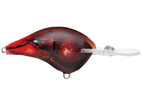 Rapala DT Series Crankbait