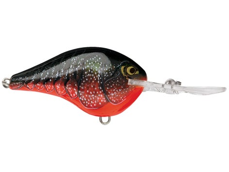 Rapala DT Series Crankbait