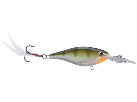 Rapala X-Rap Shad Slashbait