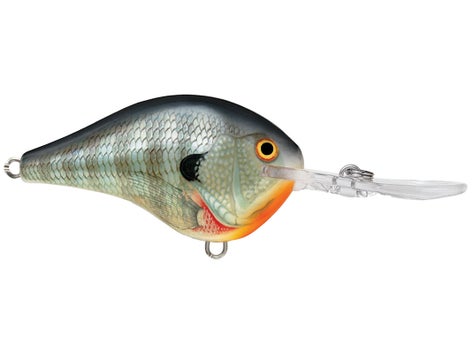 Rapala DT Series Crankbait