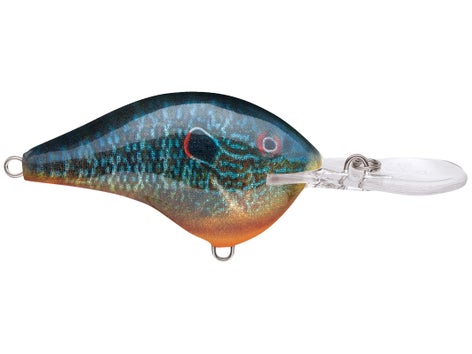 Rapala DT Series Crankbait