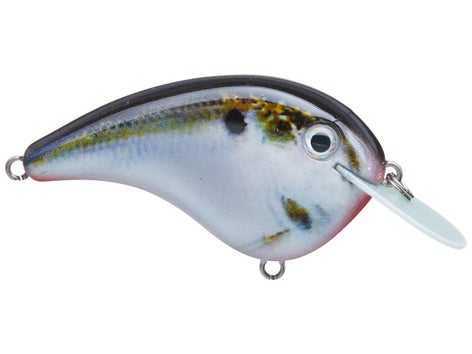 Strike King Chick Magnet Flat Sided Crankbait