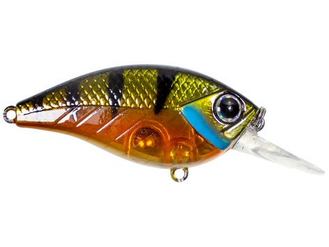 Lunkerhunt Impact Jolt 8F Flat Sided Crankbait