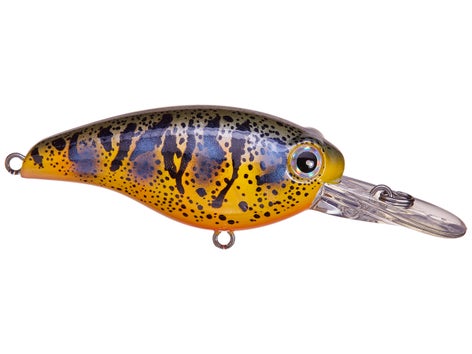 Azuma Claud Hopper Crankbaits