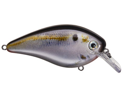 Strike King KVD Magnum Squarebill Crankbait